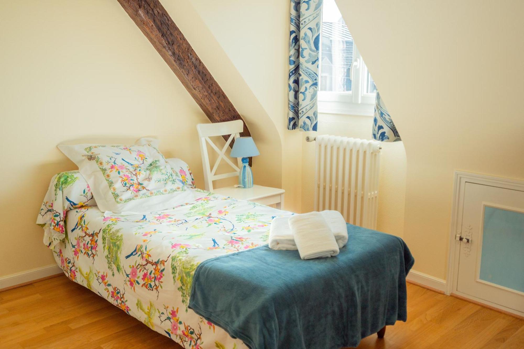 ホテル Relais Saint Jacques アンボワーズ エクステリア 写真